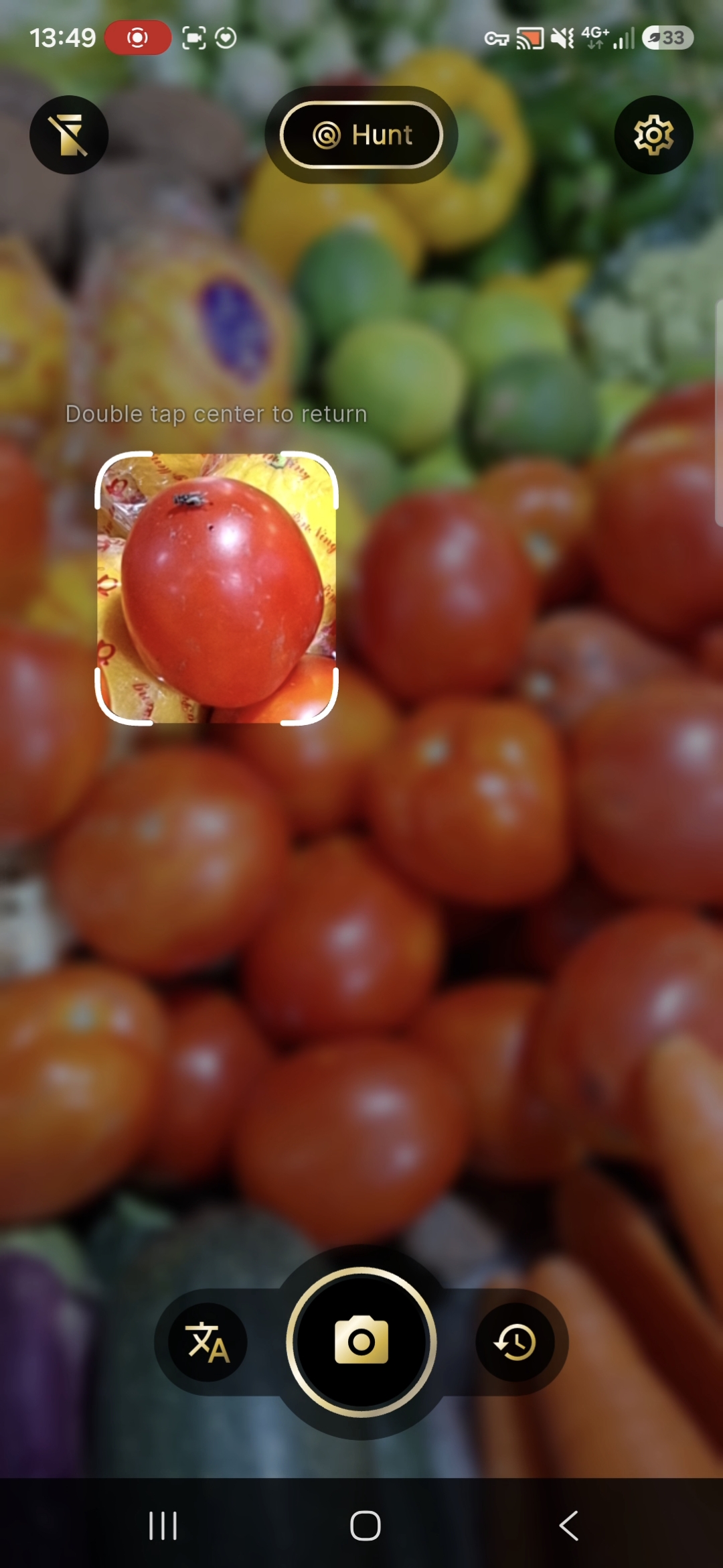 Hunt mode: white reticle centered on a tomato