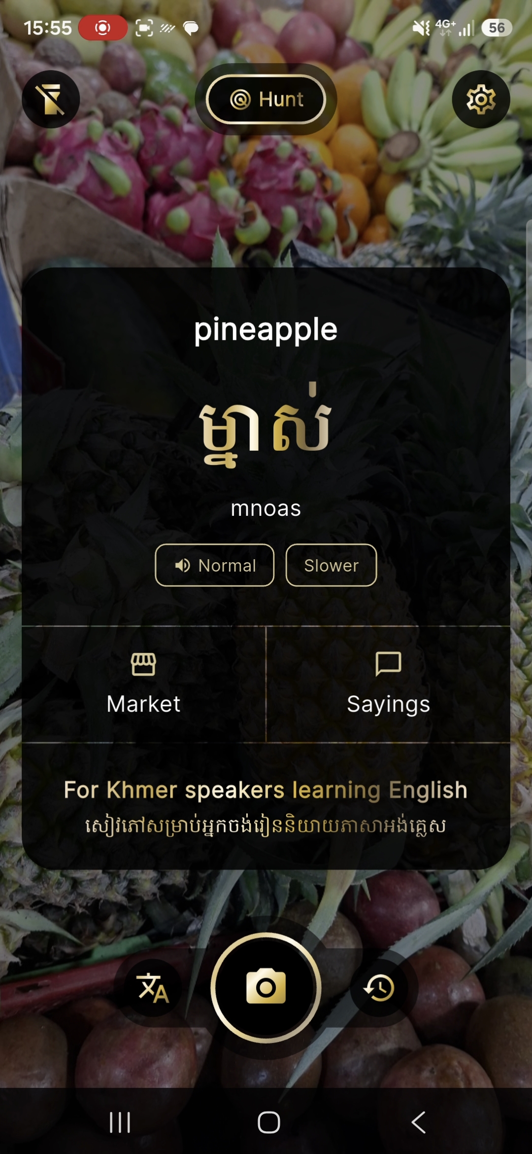 Item result sheet for pineapple over the frozen market photo